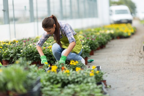 Landscaper working in a small Thornton Heath garden